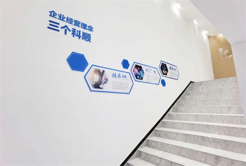 美好升級，煥新品牌 以技術(shù)服務(wù)驅(qū)動企業(yè)轉(zhuǎn)型